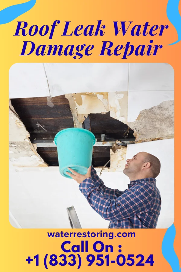 Roof Leak Water Damage Repair in Ashley Heights, NC