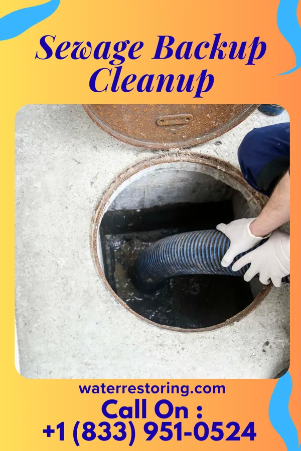 Sewage Backup Cleanup in Ashley Heights, NC